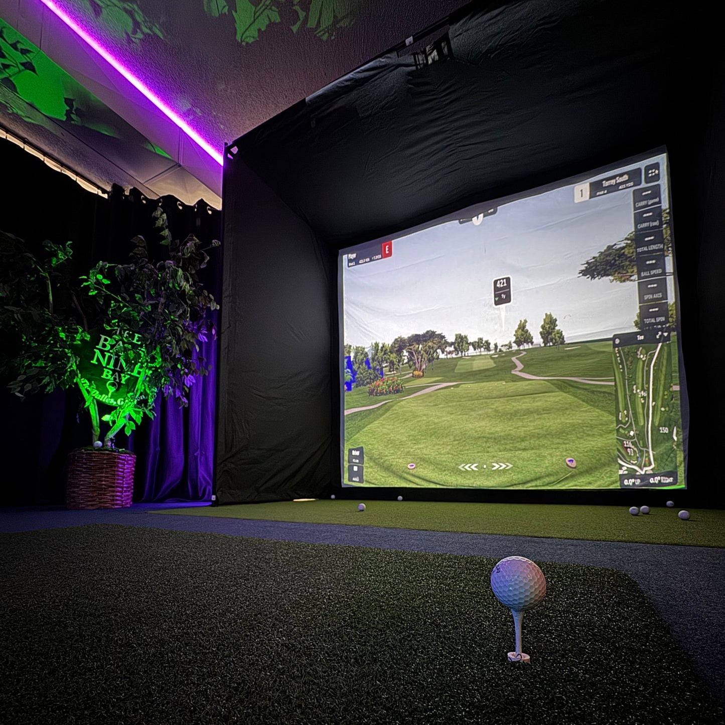 Simulator Session